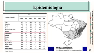 25
Schistosoma
mansoni
–
Esquistossomose
Epidemiologia
 