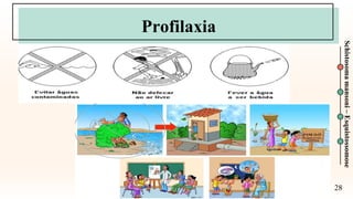 28
Schistosoma
mansoni
–
Esquistossomose
Profilaxia
 