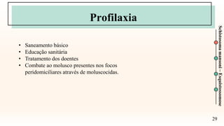 29
Schistosoma
mansoni
–
Esquistossomose
Profilaxia
• Saneamento básico
• Educação sanitária
• Tratamento dos doentes
• Combate ao molusco presentes nos focos
peridomiciliares através de moluscocidas.
 