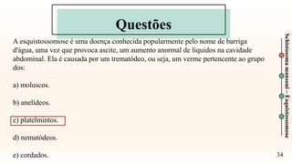 Questões
34
Schistosoma
mansoni
–
Esquistossomose
A esquistossomose é uma doença conhecida popularmente pelo nome de barriga
d'água, uma vez que provoca ascite, um aumento anormal de líquidos na cavidade
abdominal. Ela é causada por um trematódeo, ou seja, um verme pertencente ao grupo
dos:
a) moluscos.
b) anelídeos.
c) platelmintos.
d) nematódeos.
e) cordados.
 