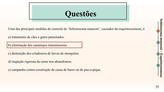 Questões
35
Schistosoma
mansoni
–
Esquistossomose
Uma das principais medidas de controle do ‘Schistosoma mansoni’, causador da esquistossomose, é
a) tratamento de cães e gatos parasitados.
b) eliminação dos caramujos transmissores.
c) destruição dos criadouros de larvas de mosquitos.
d) inspeção rigorosa da carne nos abatedouros.
e) campanha contra construção de casas de barro ou de pau-a-pique.
 