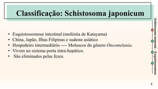 4
Schistosoma
mansoni
–
Esquistossomose
• Esquistossomose intestinal (moléstia de Katayama)
• China, Japão, Ilhas Filipinas e sudeste asiático
• Hospedeiro intermediário ---- Moluscos do gênero Oncomelania.
• Vivem no sistema porta intra-hepático.
• São eliminados pelas fezes.
Classificação: Schistosoma japonicum
 