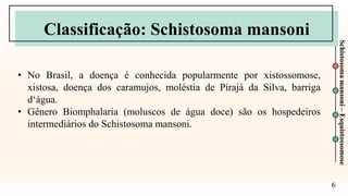 6
Schistosoma
mansoni
–
Esquistossomose
Classificação: Schistosoma mansoni
• No Brasil, a doença é conhecida popularmente por xistossomose,
xistosa, doença dos caramujos, moléstia de Pirajá da Silva, barriga
d‘água.
• Gênero Biomphalaria (moluscos de água doce) são os hospedeiros
intermediários do Schistosoma mansoni.
 