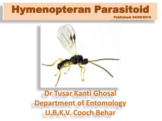 Hymenopteran Parasitoid
Published: 04/08/2016
Dr Tusar Kanti Ghosal
Department of Entomology
U.B.K.V. Cooch Behar
 