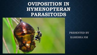 OVIPOSITION IN
HYMENOPTERAN
PARASITOIDS
PRESENTED BY
RAMESHA NM
 