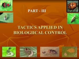 Parasitoids & Predators.ppt