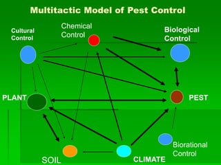 Parasitoids & Predators.ppt