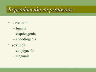 Reproducción en protozoos

• asexuada
  – binaria
  – esquizogonia
  – endodiogenia
• sexuada
  – conjugación
  – singamia
 