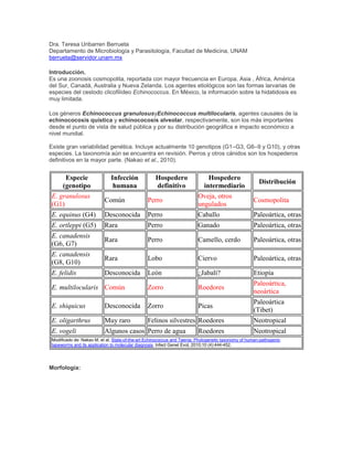 Dra. Teresa Uribarren Berrueta
Departamento de Microbiología y Parasitología, Facultad de Medicina, UNAM
berrueta@servidor.unam.mx
Introducción.
Es una zoonosis cosmopolita, reportada con mayor frecuencia en Europa, Asia , África, América
del Sur, Canadá, Australia y Nueva Zelanda. Los agentes etiológicos son las formas larvarias de
especies del cestodo clicofilídeo Echinococcus. En México, la información sobre la hidatidosis es
muy limitada.
Los géneros Echinococcus granulosusyEchinococcus multilocularis, agentes causales de la
echinococosis quística y echinococosis alveolar, respectivamente, son los más importantes
desde el punto de vista de salud pública y por su distribución geográfica e impacto económico a
nivel mundial.
Existe gran variabilidad genética. Incluye actualmente 10 genotipos (G1–G3, G6–9 y G10), y otras
especies. La taxonomía aún se encuentra en revisión. Perros y otros cánidos son los hospederos
definitivos en la mayor parte. (Nakao et al., 2010).
Especie
(genotipo
Infección
humana
Hospedero
definitivo
Hospedero
intermediario
Distribución
E. granulosus
(G1)
Común Perro
Oveja, otros
ungulados
Cosmopolita
E. equinus (G4) Desconocida Perro Caballo Paleoártica, otras
E. ortleppi (G5) Rara Perro Ganado Paleoártica, otras
E. canadensis
(G6, G7)
Rara Perro Camello, cerdo Paleoártica, otras
E. canadensis
(G8, G10)
Rara Lobo Ciervo Paleoártica, otras
E. felidis Desconocida León ¿Jabalí? Etiopía
E. multilocularis Común Zorro Roedores
Paleoártica,
neoártica
E. shiquicus Desconocida Zorro Picas
Paleoártica
(Tibet)
E. oligarthrus Muy raro Felinos silvestres Roedores Neotropical
E. vogeli Algunos casos Perro de agua Roedores Neotropical
Modificado de: Nakao M, et al. State-of-the-art Echinococcus and Taenia: Phylogenetic taxonomy of human-pathogenic
tapeworms and its application to molecular diagnosis. Infect Genet Evol, 2010;10 (4):444-452.
Morfología:
 