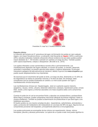 Proescólices. Dr. Jorge Tay Z., Facultad de Medicina, UNAM.
Espectro clínico.
La infección del humano por E. granulosus da lugar a la formación de quistes en casi cualquier
órgano, con mayor frecuencia únicos. La ubicación más frecuente es hígado (>65%) y pulmones
(25%); estudios realizados mediante ultrasonido ofrecen evidencia de que estos quistes pueden
crecer alrededor de 1 - 50 mm/año o persistir sin cambios a lo largo de años. También pueden
sufrir ruptura espóntanea, colapso o desaparecer. (Brunetti et al., 2010).
Los sujetos infectados cursan asintomáticos durante años o permanentemente. Las
manifestaciones dependen del órgano afectado, el número de quistes, su tamaño, desarrollo
(actividad o inactividad) y la presión ejercida sobre tejidos u órganos adyacentes. El principal
mecanismo patógeno de esta estructura es mecánico, debido a que es una masa ocupativa que
puede causar desplazamientos muy importantes.
Se reconoce que el crecimiento del quiste es lento, a lo largo de años. Solamente un 10–20% de
los diagnósticos se realiza en pacientes menores a 16 años de edad. Sin embargo, debe
considerarse que los quistes localizados en cerebro o a nivel ocular pueden dar lugar a
manifestaciones clínicas tempranas.
Las manifestaciones clínicas son: Hepatomegalia , dolor en cuadrante superior derecho,
epigástrico, náusea, vómito, urticaria, distensión abdominal, colestasis, hipertensión portal, cirrosis
biliar, ascitis y otros signos y síntomas asociados a la masa ocupativa (tales como compromiso
pulmonar).
Cuando el quiste (en el cual se encuentran fluido y cápsulas con protoescólices y protoescólices
libres) llega a romperse, pueden presentarse reacciones alérgicas de diversa magnitud, hasta un
choque anafiláctico. También es posible la diseminación de protescólices lo que dará lugar a una
hidatidosis secundaria.
El líquido quístico es una mezcla compleja de glico - lipoproteínas, carbohidratos, aminoácidos y
sales y productos del metabolismo del metacestodo en una base del 98% de agua. Algunos de sus
componentes provienen del hospedero, principalmente albúmina e inmunoglobulinas.
Los quistes pulmonares se acompañan de tos crónica con expectoración, disnea, vómica,
hemoptisis, pleuritis y abcesos pulmonares. La ruptura de un quiste a este nivel puede significar la
 