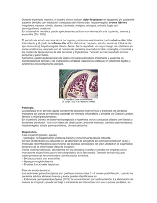 Durante el período invasivo, el cuadro clínico incluye: dolor localizado en epigastrio y/o cuadrante
superior derecho con irradiación a escápula del mismo lado, hepatomegalia, brotes febriles
irregulares, naúsea, vómito, diarrea, hiporexia, mialgias, artalgias, urticaria fugaz con
dermografismo ocasional.
En la biometría hemática puede apreciarse leucocitosis con desviación a la izquierda, anemia y
eosinofilia (30 - 70%).
El período de estado se caracteriza por signos y síntomas relacionados con la obstrucción biliar
intermitente y el grado de inflamación: dolor abdominal, náuseas, vómito, anorexia, ictericia (de
tipo obstructivo), hepatomegalia blanda, fiebre. Se ha reportado un mayor riesgo de colelitiasis en
zonas endémicas, asociado con el número de parásitos en conducto biliar, colangitis, cronicidad y
los niveles de lipoproteínas de alta densidad y triglicéridos. También se han reportado cirrosis
periportal y pancreatitis.
Asimismo, existen publicaciones de casos con carga parasitaria importante y ausencia de
manifestaciones clínicas y de migraciones erráticas (fasciolosis ectópica) en diferentes tejidos y
síndromes con componente alérgico.
F. hepatica. Corte conducto biliar.
Dr. Jorge Tay Z. Fac. Medicina, UNAM
Patología.
La patología en el período agudo comprende abscesos eosinofílicos y trayectos de parásitos
marcados por zonas de necrosis rodeadas de infiltrado inflamatorio y cristales de Charcot-Leyden,
fibrosis y tejido granulomatoso.
En el período crónico se observan hiperplasia e hipertrofia de los conductos biliares con fibrosis y
esclerosis periductal - con o sin datos de obstrucción; áreas de necrosis, cambios adenomatosos,
hepatomegalia, atrofia parenquimatosa, cirrosis periportal.
Diagnóstico.
Fase inicial (migración, aguda).
- Serología: hemaglutinación indirecta, ELISA e inmunofluorescencia indirecta.
Se han concentrado los esfuerzos en la obtención de antígenos de excreción/secreción (E/S) y
moléculas recombinantes para mejorar las pruebas serológicas, de gran utilidad en el diagnóstico
temprano de la enfermedad (fase de invasión).
Varias cisteínproteinasas, abundantes en los parásitos juveniles y adultos se emplean como
marcadores específicos para el serodiagnóstico de la fasciolosis. También se han utilizado
cisteinproteinasas recombinantes con resultados similares.
– BH (leucocitosis con eosinofilia)
– Hipergammaglobulinemia
– Pruebas funcionales hepáticas.
Fase de estado (crónica).
Los exámenes parasitoscópicos son positivos transcurridos 3 - 4 meses postinfección, cuando los
parásitos adultos eliminan huevos y éstos pueden identificarse en:
– Exámenes coproparasitoscópicos (CPS) de concentración por sedimentación. La eliminación de
huevos es irregular y puede ser baja o inexistente en infecciones con uno o pocos parásitos, en
 