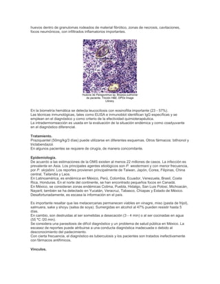 huevos dentro de granulomas rodeados de material fibrótico, zonas de necrosis, cavitaciones,
focos neumónicos, con infiltrados inflamatorios importantes.
Huevos de Paragonimus sp. Biopsia pulmonar
de paciente. Tinción H&E. DPDx Image
Library.
En la biometría hemática se detecta leucocitosis con eosinofilia importante (23 - 57%).
Las técnicas inmunológicas, tales como ELISA e inmunoblot identifican IgG específicas y se
emplean en el diagnóstico y como criterio de la efectividad quimioterapéutica.
La intradermorreacción es usada en la evaluación de la situación endémica y como coadyuvante
en el diagnóstico diferencial.
Tratamiento.
Praziquantel (50mg/kg/3 días) puede utilizarse en diferentes esquemas. Otros fármacos: bithionol y
triclabendazol.
En algunos pacientes se requiere de cirugía, de manera concomitante.
Epidemiología.
De acuerdo a las estimaciones de la OMS existen al menos 22 millones de casos. La infección es
prevalente en Asia. Los principales agentes etiológicos son P. westermani y con menor frecuencia,
por P. skrjabini. Los reportes provienen principalmente de Taiwan, Japón, Corea, Filipinas, China
central, Tailandia y Laos.
En Latinoamérica, es endémica en México, Perú, Colombia, Ecuador, Venezuela, Brasil, Costa
Rica, Honduras. En el norte del continente, se han encontrado pequeños focos en Canadá.
En México, se consideran zonas endémicas Colima, Puebla, Hidalgo, San Luis Potosí, Michoacán,
Nayarit; también se ha detectado en Yucatán, Veracruz, Tabasco, Chiapas y Estado de México.
Desafortunadamente, es escasa la información en el país.
Es importante resaltar que las metacercarias permanecen viables en vinagre, miso (pasta de frijol),
salmuera, sake y shoyu (salsa de soya). Sumergidas en alcohol al 47% pueden resistir hasta 5
días.
En cambio, son destruidas al ser sometidas a desecación (3 - 4 min) o al ser cocinadas en agua
(55 °C /20 min).
Se considera una parasitosis de difícil diagnóstico y un problema de salud pública en México. La
escasez de reportes puede atribuirse a una conducta diagnóstica inadecuada o debido al
desconocimiento del padecimiento.
Con cierta frecuencia, el diagnóstico es tuberculosis y los pacientes son tratados inefectivamente
con fármacos antifímicos.
Vínculos.
 