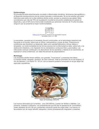 Epidemiología.
Su prevalencia está estrechamente vinculada a diferenciales climáticos, fenómenos demográficos y
al desarrollo socioeconómico de las zonas tropicales y subtropicales. No es de extrañar que estos
helmintos sean parte de la vida cotidiana dichas zonas, aunque su presencia sea global. Debe
considerarse que más del 75% de la población mundial se encuentra establecida en países en
desarrollo y que el 50% de la misma está constituida por personas menores de 15 años de edad,
rango en que se presenta la mayor morbi/mortalidad.
NTDs en LAC Prevalencia y distribución de enfermedades tropicales
descuidadas. Hotez et al., 2008.
La ascariasis, causada por el nematodo Ascaris lumbricoides, es la helmintiasis intestinal más
frecuente en el mundo, sobre todo en Africa, Latinoamérica y zonas de Asia. Predomina en
condiciones que favorecen su desarrollo, tales como sanidad deficiente y climas cálidos o
templados. La morbi-mortalidad de las formas severas de la enfermedad se debe, sobre todo, a la
obstrucción intestinal y a la migración de los nematodos a conductos biliar y pancreático. Las
infecciones crónicas contribuyen a la desnutrición de los escolares y retardo en el crecimiento, en
especial en zonas endémicas, con altas frecuencias de poliparasitismo.
Morfología.
Los ascáridos adultos tienen anfidios, son grandes, "musculosos" y presentan tres labios.
La hembra adulta, alargada, cilíndrica, de color cremoso, mide en promedio 30 cm de longitud y 5
mm de diámetro, y el macho 15 - 20 cm, con un extremo posterior enroscado en el que alojan las
espículas copulatorias.
Ascaris lumbricoides adultos. Dr. Benjamín Nogueda T,
Depto. de Parasitología, ENCB-IPN.
Los huevos eliminados por la hembra , unos 200 000/día, pueden ser fértiles o infértiles. Los
primeros, ovalados o redondos, con protuberancias que les dan la apariencia de "corcholatas";
miden alrededor de 45 x 65 µm y presentan coloración parda de origen biliar. Los huevos no
fecundados son de mayor tamaño, alargados y tienen protuberancias irregulares o ausentes.
 