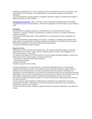 paraténicos infectados por L3. Se han descrito casos de penetración de larvas por la piel (a nivel
experimental), de transmisión vía transplacentaria, y por ingestión de agua con copépodos
infectados.
Las larvas atraviesan la pared gástrica o esofágica, penetran a hígado y posteriormente migran a
tejido subcutáneo y/u otros órganos.
Gnathostoma binucleatum. Video. YouTube. Larvas (infectantes) obtenidas del pez Dormitator.
Tecualilla (Escuinapa, Sinaloa) México. Unidad de Investigación en Salud Pública «Louis Pasteur»,
UAS.
Patogenia.
Se ha atribuido la patología causada por Gnathostoma a una combinación de factores:
- Mecánico - taumático. Debido a la penetración y migración de la larva, armada de ganchos y
espinas cuticulares.
-Toxinas de excreción/secreción. Se ha identificado un componente de acción semejante a la
acetilcolina.
- Enzimas proteolíticas (hialuronidasa, entre otras), y catepsina L proteasas que pudieran tener
algún papel en la degradación de células ingeridas o hemoglobina. Es posible que se trate de la
substancia hemolítica a la que hacen referencia trabajos previos.
- La reacción inflamatoria del hospedero.
Espectro clínico.
Después de un breve período de incubación (24 - 48 h) suelen presentarse signos y síntomas
inespecíficos como náusea, vómito, diarrea, malestar general, urticaria, dolor epigástrico y en
hipocondrio derecho, y eosinofilia.
La migración subcutánea es la más frecuente. Se hace evidente semanas después o cuando han
transcurrido meses e incluso años. Las formas clínicas son:
- Inflamatoria o paniculitis eosinofílica migratoria
- Larva migrans cutánea
- Seudofurunculosa
También se reportan casos mixtos.
La forma inflamatoria es la más frecuente y corresponde histológicamente a una paniculitis
migratoria eosinofílica. La lesión inicial aparece en gran parte de los casos en región torácica o
abdominal y se manifiesta como una placa edematosa de tamaño variable, eritematosa, no
depresible, sin bordes definidos, con aumento de la temperatura local, que se acompaña de prurito,
hiperestesia y rara vez dolor. El episodio dura una semana en promedio y se desvanece (con zona
hemorrágica o pigmentada residual, transitoria) para presentarse de nuevo en otro sitio
transcurrido un período de tiempo variable. Con cierta frecuencia los brotes posteriores tienden a
ser menos intensos.
La larva migrans cutánea debida a Gnathostoma se caracteriza por la formación de túneles
subcutáneos indurados, eritematosos, sinuosos y pruriginosos, semejantes a los causados por
Ancylostoma caninum, pero mayores.
La forma seudofurunculosa consiste en pápulas foliculares y pústulas confinadas a una región del
cuerpo.
 