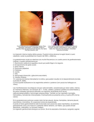 Forma inflamatoria de la gnathostomosis cutánea. Placa
edematosa, eritematosa, no depresible, bordes no
definidos. Brazo de paciente del sexo femenino. Dra. Sylvia
Paz Díaz Camacho, UAS
Larva migrans cutánea debida a Gnathostoma. Lesiones
sinuosas, induradas, eritematosas en rostro y región de
barba. Dra. Sylvia Paz Díaz Camacho, Universidad
Autónoma de Sinaloa.
La migración interna implica daños graves. Cuando la larva alcanza la región facial o cuero
cabelludo, existe la posibilidad de invasión del SNC u oftálmica.
La gnatostomosis ocular se relaciona con mucha frecuencia a un cuadro previo de gnathostomiasis
cutánea, y puede caracterizarse por:
1. Disminución súbita de la agudeza visual que puede llegar a la ceguera.
2. Enrojecimiento del globo ocular.
3. Dolor intenso.
4. Equimosis palpebral.
5. Fotofobia.
6. Uveítis
7. Iritis.
8. Hemorragia intraocular y glaucoma secundario.
9. Celulitis orbitaria.
10. Lesiones de diversa intensidad en la retina, que pueden resultar en el desprendimiento de ésta.
(Lamothe R, 2006).
La larva puede localizarse en los segmentos anterior o posterior (son pocos los hallazgos en
vítreo).
Las manifestaciones neurológicas incluyen radiculomielitis, caracterizada por dolor súbito, intenso,
en miembros inferiores, con duración de 1 - 5 días, cefalea y posterior parálisis de extremidades y
de pares craneales (secuencia atribuida a la migración ascendente de la larva),
radiculomieloencefalitis y hemorragia subaracnoidea. También se han reportado meningitis,
hidrocefalia y hematomas intracraneales. Eventualmente se presenta coma y muerte (25% de los
casos).
En la gnatostomosis pulmonar existen dolor de tipo pleural, disnea, hemoptisis, derrame pleural,
neumotórax y hemotórax. En ocasiones la larva es expectorada.
Cuando el tracto gastrointestinal está involucrado (son pocos los casos reportados), se presenta
generalmente como una masa en cuadrante inferior derecho, con fiebre, que puede simular
apendicitis, colecistitis o un proceso maligno.
La migración genitourinaria tampoco es común. Se le ha asociado a hematuria, sangrado vaginal,
 