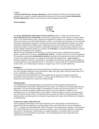 longitud.
Las larvas filariformes, formas infectantes, miden alrededor de 600 µm de longitud, tienen
esófago recto y extremo posterior ligeramente bifurcado, en tanto que las larvas rabditoides,
formas diagnósticas, tienen menor tamaño y bulbo esofágico prominente.
Ciclo biológico.
Las larvas rabditoides (eliminadas en heces fecales) sufren 2 mudas y se transforman en
larvas filariformes (L3), infectantes (ciclo directo), quepenetran la piel intacta o mucosas, dando
lugar, en la mayoría de los casos, después de migración por tejidos y su instalación en duodeno y
yeyuno proximal, a una enfermedad benigna, crónica. Las hembras se introducen en la submucosa
y producen cantidades irregulares y escasas de huevos (por partenogénesis mitótica), los cuales
eclosionan rápidamente y liberan larvas rabditoides que son eliminadas con las heces fecales; si
estas larvas caen en suelos húmedos y sombreados (fecalismo al ras del suelo) maduran como
formas adultas dimórficas (hembras y machos) de vida libre, con potencial de desarrollo en larvas
filariformes infectantes (ciclo indirecto).
Algunas larvas rabditoides se transforman en la forma invasiva (larva filariforme) en intestino
grueso, penetran por la mucosa - autoinfección interna - y repiten el ciclo en el mismo hospedero.
En ocasiones se presenta autoinfección externa, asociada a la penetración de larvas filariformes
a través de la región perianal, con migración subcutánea de estas formas - larva currens - y
posterior migración pulmonar, que finaliza con el ingreso de las formas juveniles a tracto digestivo.
La autoinfección es una característica de S. stercoralis, la cual permite que la enfermedad persista
durante años, con niveles bajos de larvas, en sujetos que viven en zonas endémicas.
Patogenia.
La respuesta inmunológica ante varias parasitosis por helmintos es principalmente del tipo TH2,
con una compleja interacción entre anticuerpos, tales como IgE, IgG4, citocinas (sobre todo IL-4 e
IL-5) y eosinófilos circulantes y tisulares.
En los pacientes bajo tratamiento con corticoesteroides se aprecia la supresión aguda de
eosinófilos y de la activación de células T, en tanto que la infección por HTLV-1 incrementa la
producción de IFN-gamma y reduce los niveles de IgE.
Histopatología.
Los hallazgos inmunohistopatológicos corresponden a diversos grados de atrofia de las
microvellosidades intestinales e hiperplasia de las criptas, con infiltración de células plasmáticas y
eosinófilos. Las formas severas llegan a expresarse en la forma de úlceras de hasta 0.5 cm con
infiltración larvaria en paredes intestinales y hasta en la luz de capilares y linfáticos, que
constituyen otra vía de diseminación a otros tejidos. También existe un aumento en la expresión
del componente secretor (SC) y la expresión disminuída de HLA-DR en células epiteliales. Estos
cambios están correlacionados con el grado de severidad del cuadro clínico.Factores de riesgo en
la hiperinfección.
Factores de riesgo. Hiperinfección.
Varias patologías asociadas a inmunocompromiso se han relacionado con hiperinfección y
diseminación de los parásitos en diversos tejidos, tales como infección por el virus linfotrópico
HTLV-1, empleo de corticoesteroides, SIDA, fármacos inmunosupresores, diabetes. Otros factores
son: enfermedad pulmonar crónica, procesos malignos, lupus eritematoso sistémico, nefropatías,
desnutrición, transplantes, hipoclorhidria. La carga parasitaria y la transformación de larvas
rabditoides en formas filariformes aumentan y las manifestaciones clínicas dependen de la
ubicación de los parásitos.
 