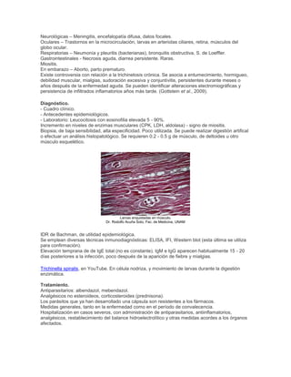 Neurológicas – Meningitis, encefalopatía difusa, datos focales.
Oculares – Trastornos en la microcirculación, larvas en arteriolas ciliares, retina, músculos del
globo ocular.
Respiratorias – Neumonía y pleuritis (bacterianas), bronquitis obstructiva, S. de Loeffler.
Gastrointestinales - Necrosis aguda, diarrea persistente. Raras.
Miositis.
En embarazo – Aborto, parto prematuro.
Existe controversia con relación a la trichinelosis crónica. Se asocia a entumecimiento, hormigueo,
debilidad muscular, mialgias, sudoración excesiva y conjuntivitis, persistentes durante meses o
años después de la enfermedad aguda. Se pueden identificar alteraciones electromiográficas y
persistencia de infiltrados inflamatorios años más tarde. (Gottstein et al., 2009).
Diagnóstico.
- Cuadro clínico.
- Antecedentes epidemiológicos.
- Laboratorio: Leucocitosis con eosinofilia elevada 5 - 90%.
Incremento en niveles de enzimas musculares (CPK, LDH, aldolasa) - signo de miositis.
Biopsia, de baja sensibilidad, alta especificidad. Poco utilizada. Se puede realizar digestión artifical
o efectuar un análisis histopatológico. Se requieren 0.2 - 0.5 g de músculo, de deltoides u otro
músculo esquelético.
Larvas enquistadas en músculo.
Dr. Rodolfo Acuña Soto, Fac. de Medicina, UNAM
IDR de Bachman, de utilidad epidemiológica.
Se emplean diversas técnicas inmunodiagnósticas: ELISA, IFI, Western blot (esta última se utiliza
para confirmación).
Elevación temprana de de IgE total (no es constante). IgM e IgG aparecen habitualmente 15 - 20
días posteriores a la infección, poco después de la aparición de fiebre y mialgias.
Trichinella spiralis, en YouTube. En célula nodriza, y movimiento de larvas durante la digestión
enzimática.
Tratamiento.
Antiparasitarios: albendazol, mebendazol.
Analgésicos no esteroideos, corticosteroides (prednisona).
Los parásitos que ya han desarrollado una cápsula son resistentes a los fármacos.
Medidas generales, tanto en la enfermedad como en el período de convalecencia.
Hospitalización en casos severos, con administración de antiparasitarios, antiinflamatorios,
analgésicos, restablecimiento del balance hidroelectrolítico y otras medidas acordes a los órganos
afectados.
 