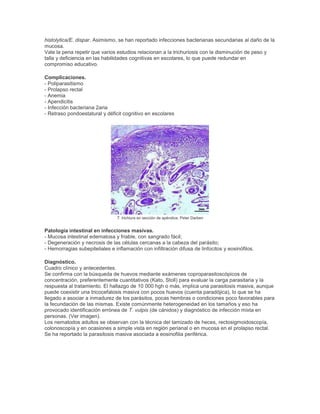 histolytica/E. dispar. Asimismo, se han reportado infecciones bacterianas secundarias al daño de la
mucosa.
Vale la pena repetir que varios estudios relacionan a la trichuriosis con la disminución de peso y
talla y deficiencia en las habilidades cognitivas en escolares, lo que puede redundar en
compromiso educativo.
Complicaciones.
- Poliparasitismo
- Prolapso rectal
- Anemia
- Apendicitis
- Infección bacteriana 2aria
- Retraso pondoestatural y déficit cognitivo en escolares
T. trichiura en sección de apéndice. Peter Darben
Patología intestinal en infecciones masivas.
- Mucosa intestinal edematosa y friable, con sangrado fácil;
- Degeneración y necrosis de las células cercanas a la cabeza del parásito;
- Hemorragias subepiteliales e inflamación con infiltración difusa de linfocitos y eosinófilos.
Diagnóstico.
Cuadro clínico y antecedentes.
Se confirma con la búsqueda de huevos mediante exámenes coproparasitoscópicos de
concentración, preferentemente cuantitativos (Kato, Stoll) para evaluar la carga parasitaria y la
respuesta al tratamiento. El hallazgo de 10 000 hgh o más, implica una parasitosis masiva, aunque
puede coexistir una tricocefalosis masiva con pocos huevos (cuenta paradójica), lo que se ha
llegado a asociar a inmadurez de los parásitos, pocas hembras o condiciones poco favorables para
la fecundación de las mismas. Existe comúnmente heterogeneidad en los tamaños y eso ha
provocado identificación errónea de T. vulpis (de cánidos) y diagnóstico de infección mixta en
personas. (Ver imagen).
Los nematodos adultos se observan con la técnica del tamizado de heces, rectosigmoidoscopía,
colonoscopía y en ocasiones a simple vista en región perianal o en mucosa en el prolapso rectal.
Se ha reportado la parasitosis masiva asociada a eosinofilia periférica.
 