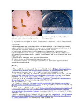 Trichuris trichiura. Huevos no embrionados en heces.
Dr. Benjamín Nogueda T, Depto. de Parasitología, ENCB-IPN.
Trichuris trichiura. Adultos. Dr. Benjamín Nogueda T, Depto. de
Parasitología, ENCB-IPN.
Es importante evaluar el grado de anemia, las deficiencias nutricionales e índices antropométricos.
Tratamiento.
Los fármacos de elección son albendazol (400 mg) y mebendazol (500 mg). La evidencia clínica
sugiere que las dosis únicas de ambos fármacos tienen excelente eficacia en el tratamiento de la
ascariasis, pero son menos efectivos contra N. americanus y T. trichiura.
La tribendimina, fármaco originario de China, parece prometedor en el tratamiento de las
helmintiasis transmitidas por el suelo, principalmente en infecciones con Ascaris lumbricoides y
uncinarias no resistentes a levamisol y pirantel. (Shu-Hua Xiao, et al., 2005; Hotez PJ, et al., 2006;
2009 Hu et al.).
El prolapso rectal incompleto puede reducirse manualmente.
De manera simultánea deben tratarse la desnutrición y anemia.
Es importante la profilaxis, que contempla la educación para la salud, con la promoción de la
higiene personal y ambiental.
Vínculos.
- Mohammad S. Khuroo, Mehnaaz S. Khuroo, and Naira S. Khuroo. Trichuris dysentery syndrome:
a common cause of chronic iron deficiency anemia in adults in an endemic area (with videos).
Gastrointestinal Endoscopy, Jan 2010; 71(1):200-204. doi:10.1016/j.gie.2009.08.002
- Geary TG, Woo K, McCarthy JS, Mackenzie CD, Horton J, Prichard RK, de Silva NR, (...), Bundy
DA. Unresolved issues in anthelmintic pharmacology for helminthiases of humans. Int J Parasitol
2010;40(1):1-13. doi:10.1016/j.ijpara.2009.11.001 Geohelmintos y otros nematodos.
- Kyung-Sun Ok, et al. Trichuris trichiura Infection Diagnosed by Colonoscopy: Case Reports and
Review of Literature. Korean J Parasitol. Sept 2009;47(3):275-280
DOI: 10.3347/kjp.2009.47.3.275
- Hu Y, Xiao S-H, Aroian RV. The new anthelmintic tribendimidine is an L-type (Levamisole and
Pyrantel) nicotinic acetylcholine receptor agonist. PLoS Neglected Tropical Diseases 2009;3(8), art.
no. e499.
- Jackson JA, Friberg IM, Little S, Bradley JE. Review series on helminths, immune modulation and
the hygiene hypothesis: Immunity against helminths and immunological phenomena in modern
human populations: Coevolutionary legacies? Immunology 2009;126 (1):18-27. doi:10.1111/j.1365-
2567.2008.03010.x
- Hotez PJ, Bottazi ME, Franco Paredes C, Ault SK, Periago MR. The Neglected Tropical Diseases
of Latin America an the Caribbean: A Review of Disease Burden and Distribution and a Roadmap
for Control and Elimination. PloS Negl Trop Dis, 2008;2(9):e300. doi:
 