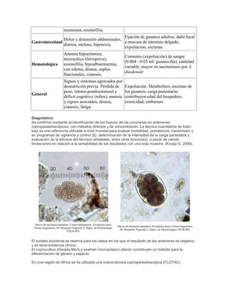 neumonía, eosinofilia.
Gastrointestinal
Dolor y distensión abdominales,
diarrea, melena, hiporexia.
Fijación de gusanos adultos, daño local
a mucosa de intestino delgado,
expoliación, enzimas.
Hematológica
Anemia hipocrómica,
microcítica (ferropriva),
eosinofilia, hipoalbuminemia,
con edema, disnea, soplos
funcionales, cianosis.
Consumo (expoliación) de sangre
(0.004 - 0.05 ml/ gusano/día), cantidad
variable, mayor en uncinariasis por A.
duodenale
General
Signos y síntomas agravados por
desnutrición previa. Pérdida de
peso, retraso pondoestatural y
déficit cognitivo (niños), anemia
y signos asociados, disnea,
cianosis, fatiga.
Expoliación. Metabolitos, enzimas de
los gusanos, carga parasitaria;
contribuyen edad del hospedero,
cronicidad, embarazo
Diagnóstico.
Se confirma mediante la identificación de los huevos de las uncinarias en exámenes
coproparasitoscópicos, con métodos directos y de concentración. La técnica cuantitativa de Kato-
katz es una referencia utilizada a nivel mundial para evaluar morbilidad, prevalencia, transmisión y
en programas de vigilancia y control (Ej. determinación de la intensidad de la carga parasitaria y
evaluación de la eficacia del fármaco empleado, entre otras funciones), a pesar de ciertas
limitaciones en relación a la sensibilidad de los resultados con una sola muestra. (Knopp S. 2009).
Huevo de uncinaria inmaduro. Cuatro blastómeros. En materia fecal.
Forma diagnóstica. Dr. Benjamín Nogueda T, Depto. de Parasitología,
ENCB-IPN.
Huevo de uncinaria inmaduro. En materia fecal. Forma diagnóstica.
Dr. Benjamín Nogueda T, Depto. de Parasitología, ENCB-IPN.
El sondeo duodenal se reserva para los casos en los que el resultado de los anteriores es negativo
y se tiene evidencia clínica.
El coprocultivo (Harada-Mori) y examen microscópico ulterior constituyen un método para la
diferenciación de género y especie.
En una región de Africa se ha utilizado una nueva técnica coproparasitoscópica (FLOTAC)
 