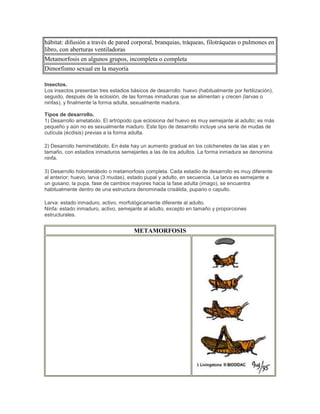 hábitat: difusión a través de pared corporal, branquias, tráqueas, filotráqueas o pulmones en
libro, con aberturas ventiladoras
Metamorfosis en algunos grupos, incompleta o completa
Dimorfismo sexual en la mayoría
Insectos.
Los insectos presentan tres estadios básicos de desarrollo: huevo (habitualmente por fertilización),
seguido, después de la eclosión, de las formas inmaduras que se alimentan y crecen (larvas o
ninfas), y finalmente la forma adulta, sexualmente madura.
Tipos de desarrollo.
1) Desarrollo ametabolo. El artrópodo que eclosiona del huevo es muy semejante al adulto; es más
pequeño y aún no es sexualmente maduro. Este tipo de desarrollo incluye una serie de mudas de
cutícula (écdisis) previas a la forma adulta.
2) Desarrollo hemimetábolo. En éste hay un aumento gradual en los colchenetes de las alas y en
tamaño, con estadios inmaduros semejantes a las de los adultos. La forma inmadura se denomina
ninfa.
3) Desarrollo holometábolo o metamorfosis completa. Cada estadio de desarrollo es muy diferente
al anterior: huevo, larva (3 mudas), estado pupal y adulto, en secuencia. La larva es semejante a
un gusano; la pupa, fase de cambios mayores hacia la fase adulta (imago), se encuentra
habitualmente dentro de una estructura denominada crisálida, pupario o capullo.
Larva: estado inmaduro, activo, morfológicamente diferente al adulto.
Ninfa: estado inmaduro, activo, semejante al adulto, excepto en tamaño y proporciones
estructurales.
METAMORFOSIS
 