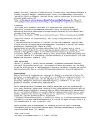 especies de hongos (Aspergillus, Candida, Fusarium, Curvularia, otros, principalmente asociadas a
inmunocompromiso), bacterias (Staphyloccocus sp. Streptococcus pneumoniae, Pseudomonas,
Haemophilus influenzae, Moraxella catarrhalis, bacilos entéricos, colonización de organismos de la
microbiota epidérmica normal).
Recurrir a Cornea and external diseases. Digital Reference of Ophthalmology. De: Eduard S.
Harkness Eye Institute, Columbia. Es sencillo y de gran utilidad, con imágenes muy ilustrativas.
Tratamiento:
La utilización de 2 o 3 biocidas combinados es la mejor alternativa. Se han utilizado:
Isetionato de propamidina, polihexametilen-biguanida (PHMB), gluconato de clorhexidina,
isetionato de hexamidina, isetionato de dibromopropamidina (Brolene), clotrimazol, ketoconazol,
miconazol, itraconazol, otros.
Se consideran de elección: PHMB, gluconato de clorhexidina y Brolene. (Visvesvara et al. 2008).
La aplicación inicial es c/h, posteriormente c/2-3 h y hacia el final se considera 4 veces al día,
durante meses.
El tratamiento quirúrgico contempla opciones tales como debridación extensa, crioterapia (poco
utilizada, destruye trofozoitos), queratoplastía terapéutica (actualmente se recurre a ella rara vez,
en situaciones muy específicas). (Dart et al., 2009).
La dexametasona (esteroides) promueve desenquistamiento. Sin embargo, ante un cuadro
inflamatorio persistente (escleritis anterior, dolor severo, úlceras, inflamación de córnea y cámara
anterior), se ha sugerido el empleo de terapia tópica con esteroides de baja potencia, como
prednisolona 0.5%/c 6 h, cuando se ha cubierto al menos 2 semanas de tratamiento con biguanida.
El pronóstico depende de la severidad del cuadro en el momento de la atención médica y del inicio
temprano del tratamiento. (Dart et al., 2009).
Otros organismos.
Sappinia ¿S. diploidea, S. pedata? produce encefalitis, con lesiones inflamatorias, necrosis y
hemorragia. Se reportó un caso en 2001 y su ultraestructura se dió a conocer en 2003. La vía de
entrada fue, aparentemente, el tracto respiratorio, y el paciente identificado, un adulto, respondió al
tratamiento propuesto. Cabe la posibilidad de que existan otras amibas de vida libre patógenas.
Epidemiología.
Es importante tener en cuenta que estos protozoos son ubicuos en la naturaleza, anfizoicos. Se
han aislado en todas las altitudes y climas. Naegleria es termofílica, se encuentra idealmente entre
30 - 45 grados C, y Acanthamoeba entre 25 - 35 grados C, por lo que se localizan en climas
tropicales y subtropicales, en presencia de materia orgánica, durante todo el año. En zonas
geográficas templadas proliferan en los meses de verano.
Se han detectado en redes públicas de agua, albercas, estanques, lagos, ríos, aguas termales,
lodos, suelos desnudos y encharcados, canales artificiales, aguas de desecho industrial, redes de
agua potable, agua embotellada, unidades dentales, de diálisis, fisioterapia, y aire acondicionado,
asi como en materia fecal de diversos animales. Algunas especies pueden encontrarse en aguas
saladas. Adicionalmente, Naegleria y Acanthamoeba han sido aisladas en tracto respiratorio de
sujetos con y sin datos de infección en vías respiratorias.
El nicho de B. mandrillaris es el suelo y se identificó por primera vez en tierra de maceta en la casa
habitación de un paciente de EAG y posteriormente en polvo de una región urbana (Schuster et al.,
2003; Dunnebacke et al., 2004; Niyyati et al., 2009).
Se han reportado casos de enfermedades por amibas de vida libre con distribución mundial,
principalmente en EUA, Reino Unido, Australia, Nueva Zelanda y Checoeslovaquia; en menor
proporción en India, Africa, Perú y México.
Datos a nivel mundial.
~300 casos de meningoencefalitis por N. Fowleri (100 EUA)
 