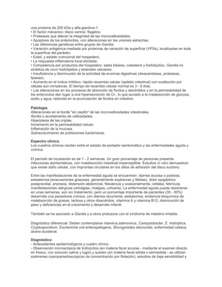 una proteina de 200 kDa y alfa-giardina-1;
• El factor mécanico: disco ventral, flagelos;
• Proteasas que alteran la integridad de las microvellosidades;
• Apoptosis de los enterocitos, con alteraciones en las uniones estrechas;
• Las diferencias genéticas entre grupos de Giardia;
• Variación antigénica mediada por proteínas de variación de superficie (VPSs), localizadas en toda
la superficie del parásito;
• Edad, y estado nutricional del hospedero;
• La respuesta inflamatoria local elicitada;
• Competencia por productos del hospedero: sales biliares, colesterol y fosfolípidos. Giardia no
sintetiza de novo fosfolípidos y esteroles celulares.
• Insuficiencia y disminución de la actividad de enzimas digestivas (disacaridasas, proteasas,
lipasas).
• Aumento en el índice mitótico: rápido recambio celular (epitelio intestinal) con sustitución por
células aún inmaduras. El tiempo de recambio celular normal es 3 - 6 días.
• Las alteraciones en los procesos de absorción de fluídos y electrólitos y en la permeabilidad de
los enterocitos dan lugar a una hipersecreción de Cl-, lo que aunado a la malabsorción de glucosa,
sodio y agua, redunda en la acumulación de fluídos en intestino.
Patología.
Alteraciones en el borde "en cepillo" de las microvellosidades intestinales.
Atrofia o acortamiento de vellosidades.
Hiperplasia de las criptas.
Incremento en la permeabilidad celular.
Inflamación de la mucosa.
Sobrecrecimiento de poblaciones bacterianas.
Espectro clínico.
Los cuadros clínicos oscilan entre el estado de portador asintomático y las enfermedades aguda y
crónica.
El período de incubación es de 1 - 2 semanas. Un gran porcentaje de personas presenta
infecciones asintomáticas, con malabsorción intestinal imperceptible. Estudios in vitro demuestran
que existe daño celular, con improntas circulares en los sitios de adhesión del disco suctorio.
Entre las manifestaciones de la enfermedad aguda se encuentran: diarrea acuosa o pastosa,
esteatorrea (evacuaciones grasosas, generalmente explosivas y fétidas), dolor epigástrico
postprandial, anorexia, distensión abdominal, flatulencia y ocasionalmente, cefalea, febrícula,
manifestaciones alérgicas (artralgias, mialgias, urticaria). La enfermedad aguda puede resolverse
en unas semanas, aún sin tratamiento, pero un porcentaje importante de pacientes (30 - 50%)
desarrolla una parasitosis crónica, con diarrea recurrente, esteatorrea, evidencia bioquímica de
malabsorción de grasas, lactosa y otros disacáridos, vitamina A y vitamina B12, disminución de
peso y deficiencias en el crecimiento y desarrollo infantil.
También se ha asociado a Giardia y a otros protozoos con el síndrome de intestino irritable.
Diagnóstico diferencial: Deben contemplarse rotavirus,adenovirus, Campylobacter, E. histolytica,
Cryptosporidium, Escherichia coli enteropatógena, Strongyloides stercoralis, enfermedad celiaca,
úlcera duodenal.
Diagnóstico.
- Antecedentes epidemiológicos y cuadro clínico.
- Observación microscópica de trofozoítos (en materia fecal acuosa - mediante el examen directo
en fresco, con solución salina y lugol) y quistes (en materia fecal sólida o semisólida - se utilizan
exámenes coproparasitoscópicos de concentración por flotación), estudios de baja sensibilidad y
 