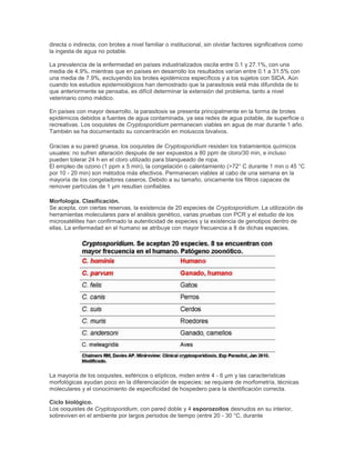 directa o indirecta, con brotes a nivel familiar o institucional, sin olvidar factores significativos como
la ingesta de agua no potable.
La prevalencia de la enfermedad en países industrializados oscila entre 0.1 y 27.1%, con una
media de 4.9%, mientras que en países en desarrollo los resultados varían entre 0.1 a 31.5% con
una media de 7.9%, excluyendo los brotes epidémicos específicos y a los sujetos con SIDA. Aún
cuando los estudios epidemiológicos han demostrado que la parasitosis está más difundida de lo
que anteriormente se pensaba, es difícil determinar la extensión del problema, tanto a nivel
veterinario como médico.
En países con mayor desarrollo, la parasitosis se presenta principalmente en la forma de brotes
epidémicos debidos a fuentes de agua contaminada, ya sea redes de agua potable, de superficie o
recreativas. Los ooquistes de Cryptosporidium permanecen viables en agua de mar durante 1 año.
También se ha documentado su concentración en moluscos bivalvos.
Gracias a su pared gruesa, los ooquistes de Cryptosporidium resisten los tratamientos químicos
usuales: no sufren alteración después de ser expuestos a 80 ppm de cloro/30 min, e incluso
pueden tolerar 24 h en el cloro utilizado para blanqueado de ropa.
El empleo de ozono (1 ppm x 5 min), la congelación o calentamiento (>72° C durante 1 min o 45 °C
por 10 - 20 min) son métodos más efectivos. Permanecen viables al cabo de una semana en la
mayoría de los congeladores caseros. Debido a su tamaño, únicamente los filtros capaces de
remover partículas de 1 µm resultan confiables.
Morfología. Clasificación.
Se acepta, con ciertas reservas, la existencia de 20 especies de Cryptosporidium. La utilización de
herramientas moleculares para el análisis genético, varias pruebas con PCR y el estudio de los
microsatélites han confirmado la autenticidad de especies y la existencia de genotipos dentro de
ellas. La enfermedad en el humano se atribuye con mayor frecuencia a 8 de dichas especies.
La mayoría de los ooquistes, esféricos o elípticos, miden entre 4 - 6 µm y las características
morfológicas ayudan poco en la diferenciación de especies; se requiere de morfometría, técnicas
moleculares y el conocimiento de especificidad de hospedero para la identificación correcta.
Ciclo biológico.
Los ooquistes de Cryptosporidium, con pared doble y 4 esporozoítos desnudos en su interior,
sobreviven en el ambiente por largos periodos de tiempo (entre 20 - 30 °C, durante
 