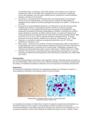inmunodeprimidos; sin embargo, hacen falta estudios. Se considera que el origen es
multifactorial: están involucrados tanto el parásito como sus productos, la respuesta
inmune del hospedero, que dan lugar a deficiencias en la absorción a nivel de intestino
delgado y aumento en la secreción.
Las células T, principalmente los linfocitos CD4+ son fundamentales en la respuesta
inmune contra los criptosporidios, y al mismo tiempo, la atrofia de vellosidades y la
hiperplasia de las criptas son cambios patológicos asociados a las células T. (Chalmers et
al. 2010).
El aumento en la permeabilidad intercelular y la inflamación a nivel de la lámina propia
mediadas por citocinas y neuropéptidos podrían contribuir a la diarrea secretora.
A este respecto, se ha sugerido que puede estar involucrado el neuropéptido P, cuya
producción se identificó en linfocitos intraepiteliales y linfocitos o monocitos de la lámina
propia intestinal en pacientes con SIDA y diarrea severa. La sustancia P interviene de
manera importante en la estimulación de la producción de citocinas proinflamatorias, tales
como IFN- g, IL-1ß, IL-6, y TNF-a, además de inducir la secreción de Cl-. En estos
pacientes se encontró también malabsorción de glucosa. (Pantenburg B, et al . 2008).
Apoptosis. La cascada de señales pro-apoptosis predominan a las 24 - 48 horas
postinfección. Estudios in vitro.
Daño celular - Producido por el parásito. Productos del esporozoíto están involucrados en
la desorganización de las uniones celulares, pérdida de la función de barrera, liberación de
lactato-dehidrogenasa e incremento en la muerte celular. Fosfolipasas, proteasas, son
moléculas que potencialmente pueden causar el daño tisular. (Ortega-Pierres et al. 2009).
Adhesión. Se encuentran involucradas lectinas y glucoproteínas semejantes a la mucina,
receptores de adherencia del esporozoíto, entre otros factores. (Borowski et al. 2008; Stark
et al. 2010).
Histopatología.
Los cambios histopatológicos asociados a este organismo incluyen: diferentes grados de atrofia de
las microvellosidades, edema de la submucosa, infiltrado inflamatorio mononuclear e hiperplasia de
las criptas. Los estadios del parásito se observan en la zona apical de la membrana del enterocito.
Diagnóstico.
Es importante el diagnóstico diferencial con patologías causadas por Cyclospora e Isospora, y
otros patógenos intestinales que producen cuadros clínicos similares.
Cryptosporidium sp. Ooquistes. Examen en fresco y Tinción ácido alcohol.
Chiang Mai University, Thailand y CDC.
Los ooquistes se recobran en materia fecal. Cuando se sospecha compromiso extraintestinal, es
prudente buscarlos en bilis o esputo. La recuperación rutinaria se realiza por técnicas de
concentración/flotación, entre ellas la técnica de Sheather (con sacarosa a una densidad de 1.27),
el posterior extendido y tinción ácida mediante los métodos de Kinyoun en frío o caliente o Ziehl-
 