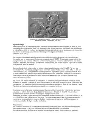 Ooquistes de Cryptosporidium parvum y quistes de Giardia lamblia .
Microscopia confocal. Lindquist HDA, EUA. EPA.
Epidemiología.
El impacto global de las enfermedades diarreicas se estima en unos 62 millones de años de vida
ajustados por discapacidad (DALYs). Aunque el peso de los diferentes patógenos que contribuyen
a esta cifra es difícil de evaluar, la criptosporidiosis se considera una de las causas más frecuentes
de diarrea en países que cuentan con datos epidemiológicos confiables.
(Karanis et al., 2007).
La criptosporidiosis es una enfermedad cosmopolita, con mayor en zonas con clima tropical o
templado, que se presenta con frecuencia en pacientes con SIDA. En países en desarrollo, en los
que prevalece una sanidad deficiente y hacinamiento, es más frecuente la transmisión oral-fecal,
directa o indirecta, con brotes a nivel familiar o institucional, sin olvidar factores significativos como
la ingesta de agua no potable.
La prevalencia de la enfermedad en países industrializados oscila entre 0.1 y 27.1%, con una
media de 4.9%, mientras que en países en desarrollo los resultados varían entre 0.1 a 31.5% con
una media de 7.9%, excluyendo los brotes epidémicos específicos y a los sujetos con SIDA. Aún
cuando los estudios epidemiológicos han demostrado que la parasitosis está más difundida de lo
que anteriormente se pensaba, es difícil determinar la extensión del problema, tanto a nivel
veterinario como médico.
En países con mayor desarrollo, la parasitosis se presenta principalmente en la forma de brotes
epidémicos debidos a fuentes de agua contaminada, ya sea redes de agua potable, de superficie o
recreativas. Los ooquistes de Cryptosporidium permanecen viables en agua de mar durante 1 año.
También se ha documentado su concentración en moluscos bivalvos.
Gracias a su pared gruesa, los ooquistes de Cryptosporidium resisten los tratamientos químicos
usuales: no sufren alteración después de ser expuestos a 80 ppm de cloro/30 min, e incluso
pueden tolerar 24 h en el cloro utilizado para blanqueado de ropa.
El empleo de ozono (1 ppm x 5 min), la congelación o calentamiento (>72° C durante 1 min o 45 °C
por 10 - 20 min) son métodos más efectivos. Permanecen viables al cabo de una semana en la
mayoría de los congeladores caseros. Debido a su tamaño, únicamente los filtros capaces de
remover partículas de 1 µm resultan confiables.
Tratamiento.
Es necesario mantener el equilibrio hidroelectrolítico tanto en sujetos inmunocompetentes como
inmunodeprimidos En algunos pacientes es necesaria la alimentación parenteral.
Fundamentalmente, el tratamiento consiste en medidas de sostén. Algunos autores sugieren
 