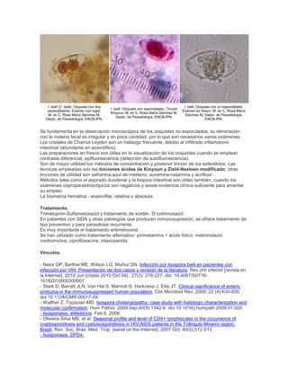 I. belli (C. belli). Ooquiste con dos
esporoblastos. Examen con lugol.
M. en C. Rosa María Sánchez M,
Depto. de Parasitología, ENCB-IPN.
I. belli. Ooquiste con esporoblasto. Tinción
Kinyoun. M. en C. Rosa María Sánchez M,
Depto. de Parasitología, ENCB-IPN.
I. belli. Ooquiste con un esporoblasto.
Examen en fresco. M. en C. Rosa María
Sánchez M, Depto. de Parasitología,
ENCB-IPN.
Se fundamenta en la observación microscópica de los ooquistes no esporulados; su eliminación
con la materia fecal es irregular y en poca cantidad, por lo que son necesarios varios exámenes.
Los cristales de Charcot Leyden son un hallazgo frecuente, debido al infiltrado inflamatorio
intestinal (abundante en eosinófilos).
Las preparaciones en fresco son útiles en la visualización de los ooquistes cuando se emplean
contraste diferencial, epifluorescencia (detección de autofluorescencia).
Son de mayor utilidad los métodos de concentración y posterior tinción de los extendidos. Las
técnicas empleadas son las tinciones ácidas de Kinyoun y Ziehl-Neelsen modificado; otras
tinciones de utilidad son safranina-azul de metileno, auramina-rodamina y acrifluor.
Métodos tales como el aspirado duodenal y la biopsia intestinal son útiles también, cuando los
exámenes coproparasitoscópicos son negativos y existe evidencia clínica suficiente para ameritar
su empleo.
La biometría hemática - eosinofilia, relativa o absoluta.
Tratamiento.
Trimetoprim-Sulfametoxazol y tratamiento de sostén. O cotrimoxazol.
En patientes con SIDA y otras patologías que producen inmunosupresión, se ofrece tratamiento de
tipo preventivo y para parasitosis recurrente.
Es muy importante el tratamiento antirretroviral.
Se han utilizado como tratamiento alternativo: pirimetamina + ácido fólico, metronidazol,
roxitromicina, ciprofloxacina, nitaxozanida.
Vínculos.
- Neira OP, Barthel ME, Wilson LG, Muñoz SN. Infección por Isospora belli en pacientes con
infección por VIH: Presentación de dos casos y revisión de la literatura. Rev chil infectol [revista en
la Internet]. 2010 Jun [citado 2010 Oct 04] ; 27(3): 219-227. doi: 10.4067/S0716-
10182010000300007
- Stark D, Barratt JLN, Van Hal S, Marriott D, Harkness J, Ellis JT. Clinical significance of enteric
protozoa in the immunosuppressed human population. Clin Microbiol Rev, 2009 ;22 (4):634-650.
doi:10.1128/CMR.00017-09
- Walther Z, Topazian MD. Isospora cholangiopathy: case study with histologic characterization and
molecular confirmation. Hum Pathol. 2009 Sep;40(9):1342-6. doi:10.1016/j.humpath.2009.01.020
- Isosporiasis. eMedicine. Feb 6, 2008.
- Oliveira-Silva MB, et al. Seasonal profile and level of CD4+ lymphocytes in the occurrence of
cryptosporidiosis and cystoisosporidiosis in HIV/AIDS patients in the Triângulo Mineiro region,
Brazil. Rev. Soc. Bras. Med. Trop. [serial on the Internet]. 2007 Oct; 40(5):512-515.
- Isosporiasis. DPDx.
 