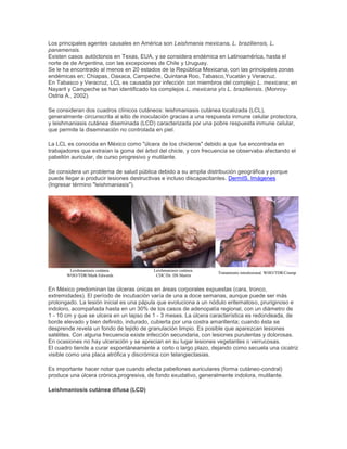 Los principales agentes causales en América son Leishmania mexicana, L. braziliensis, L.
panamensis.
Existen casos autóctonos en Texas, EUA, y se considera endémica en Latinoamérica, hasta el
norte de de Argentina, con las excepciones de Chile y Uruguay.
Se le ha encontrado al menos en 20 estados de la República Mexicana, con las principales zonas
endémicas en: Chiapas, Oaxaca, Campeche, Quintana Roo, Tabasco,Yucatán y Veracruz.
En Tabasco y Veracruz, LCL es causada por infección con miembros del complejo L. mexicana; en
Nayarit y Campeche se han identificado los complejos L. mexicana y/o L. braziliensis. (Monroy-
Ostria A., 2002).
Se consideran dos cuadros clínicos cutáneos: leishmaniasis cutánea localizada (LCL),
generalmente circunscrita al sitio de inoculación gracias a una respuesta inmune celular protectora,
y leishmaniasis cutánea diseminada (LCD) caracterizada por una pobre respuesta inmune celular,
que permite la diseminación no controlada en piel.
La LCL es conocida en México como "úlcera de los chicleros" debido a que fue encontrada en
trabajadores que extraían la goma del árbol del chicle, y con frecuencia se observaba afectando el
pabellón auricular, de curso progresivo y mutilante.
Se considera un problema de salud pública debido a su amplia distribución geográfica y porque
puede llegar a producir lesiones destructivas e incluso discapacitantes. DermIS. Imágenes
(Ingresar término "leishmaniasis").
Leishmaniasis cutánea.
WHO/TDR/Mark Edwards
Leishmaniasis cutánea.
CDC/Dr. DS Martin
Tratamiento intralesional. WHO/TDR/Crump
En México predominan las úlceras únicas en áreas corporales expuestas (cara, tronco,
extremidades). El período de incubación varía de una a doce semanas, aunque puede ser más
prolongado. La lesión inicial es una pápula que evoluciona a un nódulo eritematoso, pruriginoso e
indoloro, acompañada hasta en un 30% de los casos de adenopatía regional, con un diámetro de
1 - 10 cm y que se ulcera en un lapso de 1 - 3 meses. La úlcera característica es redondeada, de
borde elevado y bien definido, indurado, cubierta por una costra amarillenta; cuando ésta se
desprende revela un fondo de tejido de granulación limpio. Es posible que aparezcan lesiones
satélites. Con alguna frecuencia existe infección secundaria, con lesiones purulentas y dolorosas.
En ocasiones no hay ulceración y se aprecian en su lugar lesiones vegetantes o verrucosas.
El cuadro tiende a curar espontáneamente a corto o largo plazo, dejando como secuela una cicatriz
visible como una placa atrófica y discrómica con telangiectasias.
Es importante hacer notar que cuando afecta pabellones auriculares (forma cutáneo-condral)
produce una úlcera crónica,progresiva, de fondo exudativo, generalmente indolora, mutilante.
Leishmaniosis cutánea difusa (LCD)
 
