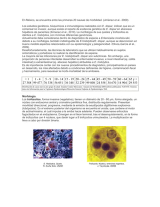 En México, se encuentra entre las primeras 20 causas de morbilidad. (Jiménez et al.. 2009).
Los estudios genéticos, bioquímicos e inmunológicos realizados con E. dispar, indican que es un
comensal no invasor, aunque existe el reporte de evidencia genética de E. dispar en abscesos
hepáticos de pacientes (Ximenez et al., 2010). La morfología de sus quistes y trofozoitos es
idéntica a E. histolytica, con mínimas diferencias genómicas.
Actualmente debe considerarse dentro de diagnóstico de especie a Entamoeba moshkovskii,
debido a su morfología, también indistinguible de E.histolytica/E. dispar, aunque se desconocen en
buena medida aspectos relacionados con su epidemiología y patogenicidad. /Olivos-García et al.,
2009).
Desafortunadamente, las técnicas de laboratorio que se utilizan habitualmente en sujetos
sintomáticos y portadores no realizan la identificación de especie.
La mayoría de las infecciones por E. histolytica/E. dispar son subclínicas. Sin embargo, una
proporción de personas infectadas desarrollan la enfermedad invasiva, a nivel intestinal (ej. colitis
intestinal) o extraintestinal (ej. absceso hepático) atribuibles a E. histolytica.
Es de importancia contar con los nuevos procedimientos de diagnóstico, principalmente en países
en desarrollo, los más afectados debido a condiciones deficientes de higiene, contaminación fecal
y hacinamiento, para reevaluar la morbi-mortalidad de la amibiasis.
< 1
27 388
1 - 4
99 477
5 - 9
76 338
10 - 14
56 051
15 - 19
36 348
20 - 24
32 239
25 - 44
99 808
45 - 49
24 558
50 - 59
34 670
60 - 64
14 904
65 y +
29 553
Distribución de casos nuevos por grupo de edad. Estados Unidos Mexicanos. Anuario de Morbilidad 2008 (último publicado). FUENTE: Sistema
único de Información para la Vigilancia Epidemiológica/Dirección General Adjunta de Epidemiología, SSA
Morfología.
Los trofozoítos, forma invasiva (vegetativa), tienen un diámetro de 20 - 60 µm, forma alargada, un
núcleo con endosoma central y cromatina periférica fina, distribuída regularmente. Presentan
movilidad direccional, progresiva, mediante la emisión de seudópodos digitiformes explosivos
(lobópodos). En el extremo posterior del organismo se encuentra el uroide, que contiene el motor
de actina/miosina, el cuál impulsa a la amiba hacia adelante. Pueden observarse eritrocitos
fagocitados en el endoplasma. Emergen en el íleon terminal, tras el desenquistamiento, en la forma
de trofozoítos con 4 núcleos, que darán lugar a 8 trofozoítos uninucleados. La multiplicación se
lleva a cabo por división binaria.
E. Histolytica. Quiste.
R. Acuña Soto, UNAM
Trofozoíto. Núcleo y eritrocitos ingeridos.
J. Tay Zavala, UNAM
 