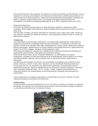 Para la discriminación entre especies, se requiere una bateria de métodos de identificación. Se han
empleado el cultivo de promastigotes con anticuerpos monoclonales y perfiles isoenzimáticos. Se
utiliza la técnica de PCR (reacción en cadena de la polimerasa) para el diagnóstico y distinción de
género y especie; desafortunadamente, se encuentra restringida a algunos centros de
investigación y de referencia diagnóstica (Boelaert M, et al. 2007; Fagundes Aline, et al. 2010).
Diagnóstico diferencial.
En el caso de la leishmaniosis visceral, se debe descartar: paludismo, tuberculosis miliar,
brucelosis, fiebre tifoidea, histoplasmosis, esplenomegalia tropical, desnutrición, linfoma, leucemia,
entre otros.
Por otra parte, impétigo, picaduras infectadas de mosquitos, lupus vulgar, lepra, sífilis, cáncer de
piel, lesiones causadas por amibas de vida libre y otras patologías, pueden simular un cuadro de
leishmaniosis cutánea.
Tratamiento.
Los tratamientos convencionales contemplan a los antimoniales pentavalentes: antimoniato de
meglumina (Glucantime) y estibogluconato de sodio (Pentostam). Constituyen los fármacos de
elección a pesar de su elevado costo, falta de efectividad en muchos casos, resistencias y diversos
efectos secundarios: alteraciones en la función hepática, pancreatitis bioquímica, aplanamiento de
ondas T en el ECG, mialgias, artralgias, trombocitopenia y otros.
Otros fármacos sistémicos utilizados son: Anfotericina B, Anfotericina B liposomal (AmBisome),
pentamidina, paromomicina y sitamaquina (en evaluación clínica).
Entre los fármacos orales, se han empleado: Miltefosine, un antineoplásico con efecto
teratogénico, aceptado en India para tratamiento de la leishmaniosis visceral (2002) y en América
para tratar lesiones cutáneas y mucocutáneas (aún en evaluación clínica), ketoconazol e
itraconazol.
Los fármacos mencionados son tóxicos, con la excepción de AmBisome que presenta menos
efectos adversos, y tienen un alto costo. Asimismo, se han identificado fármacorresistencias.
En los casos de LCL, se considera a los antimoniales sistémicos o intralesionales como el
tratamiento de elección. Algunos métodos físicos son eficaces en lesiones pequeñas: crioterapia,
calor controlado (ondas de radio) - 50 °C / 30 seg / 1 dosis, ungüento de paromomicina, e
imiquimod (antiviral con características inmunomoduladoras), empleado conjuntamente con
antimoniales.
Varios antígenos son candidatos potenciales en el desarrollo de vacunas. También se están
realizando estudios con proteínas recombinantes.
Epidemiología.
La leishmaniosis se encuentra distribuída en unos 100 países, en trópicos, subtrópicos y regiones
templadas. Se considera que 350 millones de personas en el mundo están en riesgo de infección.
La prevalencia estimada es de 12 millones de casos.
 