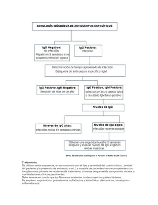 DPDx. Identification and Diagnosis of Parasites of Public Health Concern
Tratamiento.
Se utilizan varios esquemas, en concordancia con el tipo y severidad del cuadro clínico , la edad
del paciente y la presencia de embarazo o no. La mayoría de pacientes inmunocompetentes con
toxoplasmosis primaria no requieren de tratamiento, a menos de que exista compromiso visceral o
manifestaciones clínicas persistentes.
Debe tenerse en cuenta que los fármacos existentes no destruyen los quistes tisulares.
Se emplean: espiramicina, pirimetamina, sulfadiazina y ácido fólico, clindamicina, trimetoprim-
sulfametoxazol.
 