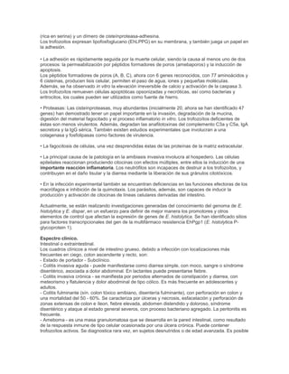 (rica en serina) y un dímero de cisteínproteasa-adhesina.
Los trofozoitos expresan lipofosfoglucano (EhLPPG) en su membrana, y también juega un papel en
la adhesión.
• La adhesión es rápidamente seguida por la muerte celular, siendo la causa al menos uno de dos
procesos: la permeabilización por péptidos formadores de poros (amebaporos) y la inducción de
apoptosis.
Los péptidos formadores de poros (A, B, C), ahora con 6 genes reconocidos, con 77 aminoácidos y
6 cisteínas, producen lisis celular, permiten el paso de agua, iones y pequeñas moléculas.
Además, se ha observado in vitro la elevación irreversible de calcio y activación de la caspasa 3.
Los trofozoítos remueven células apoptóticas opsonizadas y necróticas, así como bacterias y
eritrocitos, los cuales pueden ser utilizados como fuente de hierro.
• Proteasas: Las cisteínproteasas, muy abundantes (inicialmente 20, ahora se han identificado 47
genes) han demostrado tener un papel importante en la invasión, degradación de la mucina,
digestión del material fagocitado y el proceso inflamatorio in vitro. Los trofozoítos deficientes de
éstas son menos virulentos. Además, degradan las anafilotoxinas del complemento C3a y C5a, IgA
secretora y la IgG sérica. También existen estudios experimentales que involucran a una
colagenasa y fosfolipasas como factores de virulencia.
• La fagocitosis de células, una vez desprendidas éstas de las proteínas de la matriz extracelular.
• La principal causa de la patología en la amibiasis invasiva involucra al hospedero. Las células
epiteliales reaccionan produciendo citocinas con efectos múltiples, entre ellos la inducción de una
importante reacción inflamatoria. Los neutrófilos son incapaces de destruir a los trofozoítos, y
contribuyen en el daño tisular y la diarrea mediante la liberación de sus gránulos citotóxicos.
• En la infección experimental también se encuentran deficiencias en las funciones efectoras de los
macrófagos e inhibición de la quimotaxis. Los parásitos, además, son capaces de inducir la
producción y activación de citocinas de líneas celulares derivadas del intestino.
Actualmente, se están realizando investigaciones generadas del conocimiento del genoma de E.
histolytica y E. dispar, en un esfuerzo para definir de mejor manera los promotores y otros
elementos de control que afectan la expresión de genes de E. histolytica. Se han identificado sitios
para factores transcripcionales del gen de la multifármaco resistencia EhPgp1 (E. histolytica P-
glycoprotein 1).
Espectro clínico.
Intestinal o extraintestinal.
Los cuadros clínicos a nivel de intestino grueso, debido a infección con localizaciones más
frecuentes en ciego, colon ascendente y recto, son:
- Estado de portador - Subclínico.
- Colitis invasiva aguda - puede manifestarse como diarrea simple, con moco, sangre o síndrome
disentérico, asociada a dolor abdominal. En lactantes puede presentarse fiebre.
- Colitis invasiva crónica - se manifiesta por periodos alternados de constipación y diarrea, con
meteorismo y flatulencia y dolor abodminal de tipo cólico. Es más frecuente en adolescentes y
adultos.
- Colitis fulminante (sín. colon tóxico amibiano, disentería fulminante), con perforación en colon y
una mortalidad del 50 - 60%. Se caracteriza por úlceras y necrosis, esfacelación y perforación de
zonas extensas de colon e íleon, fiebre elevada, abdomen distendido y doloroso, síndrome
disentérico y ataque al estado general severos, con proceso bacteriano agregado. La peritonitis es
frecuente.
- Ameboma - es una masa granulomatosa que se desarrolla en la pared intestinal, como resultado
de la respuesta inmune de tipo celular ocasionada por una úlcera crónica. Puede contener
trofozoítos activos. Se diagnostica rara vez, en sujetos desnutridos o de edad avanzada. Es posible
 