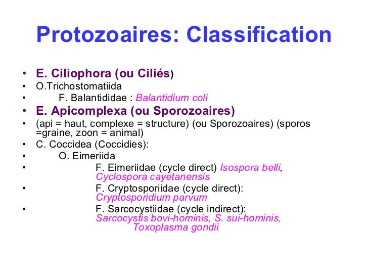 Tableau De Classification Des Protozoaires fr.slideshare.net