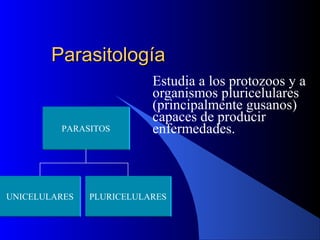 ParasitologíaParasitología
Estudia a los protozoos y a
organismos pluricelulares
(principalmente gusanos)
capaces de producir
enfermedades.PARASITOS
PLURICELULARESUNICELULARES
 