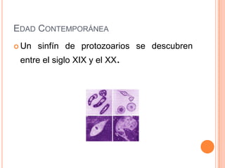 EDAD CONTEMPORÁNEA
 Un   sinfín de protozoarios se descubren
 entre el siglo XIX y el XX.
 