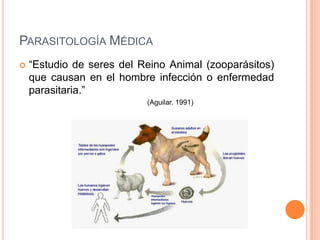PARASITOLOGÍA MÉDICA
   “Estudio de seres del Reino Animal (zooparásitos)
    que causan en el hombre infección o enfermedad
    parasitaria.”
                           (Aguilar. 1991)
 