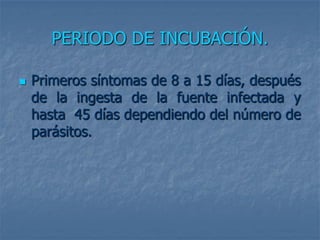PERIODO DE INCUBACIÓN.

   Primeros síntomas de 8 a 15 días, después
    de la ingesta de la fuente infectada y
    hasta 45 días dependiendo del número de
    parásitos.
 
