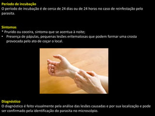 Período de incubação
O período de incubação é de cerca de 24 dias ou de 24 horas no caso de reinfestação pelo
parasita.
Sintomas
* Prurido ou coceira, sintoma que se acentua à noite;
• Presença de pápulas, pequenas lesões eritematosas que podem formar uma crosta
provocada pelo ato de coçar o local.
Diagnóstico
O diagnóstico é feito visualmente pela análise das lesões causadas e por sua localização e pode
ser confirmado pela identificação do parasita no microscópio.
 