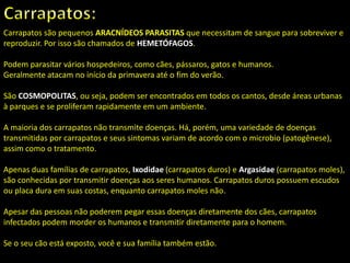Carrapatos são pequenos ARACNÍDEOS PARASITAS que necessitam de sangue para sobreviver e
reproduzir. Por isso são chamados de HEMETÓFAGOS.
Podem parasitar vários hospedeiros, como cães, pássaros, gatos e humanos.
Geralmente atacam no início da primavera até o fim do verão.
São COSMOPOLITAS, ou seja, podem ser encontrados em todos os cantos, desde áreas urbanas
à parques e se proliferam rapidamente em um ambiente.
A maioria dos carrapatos não transmite doenças. Há, porém, uma variedade de doenças
transmitidas por carrapatos e seus sintomas variam de acordo com o microbio (patogênese),
assim como o tratamento.
Apenas duas famílias de carrapatos, Ixodidae (carrapatos duros) e Argasidae (carrapatos moles),
são conhecidas por transmitir doenças aos seres humanos. Carrapatos duros possuem escudos
ou placa dura em suas costas, enquanto carrapatos moles não.
Apesar das pessoas não poderem pegar essas doenças diretamente dos cães, carrapatos
infectados podem morder os humanos e transmitir diretamente para o homem.
Se o seu cão está exposto, você e sua família também estão.
 