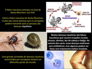 Muitas doenças riquétsias são febres
maculosas que causam erupções na pele,
náusea, vômitos, dor de cabeça e fadiga. Na
maioria dos casos, essas doenças melhoram
com antibióticos, mas algumas podem ser
fatais sem tratamento médico imediato.
A febre maculosa começou na área de
Rocky Mountain, nos EUA.
Como a febre maculosa de Rocky Mountain,
muitas das outras doenças que os carrapatos
podem transmitir para as pessoas são
doenças riquétsias.
Uma grande variedade de doenças riquétsias
transmitidas por carrapatos existem em
diferentes partes do mundo.
 