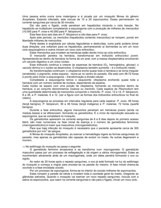 Uma pessoa entra numa zona malarígena e é picada por um mosquito fêmea do gênero Anopheles. Estando infectado, este inocula de 10 a 20 esporozoítos. Esses permanecem na corrente sanguínea por cerca de 30 minutos. 
Daí vão para o fígado, onde penetram em hepatócitos iniciando o ciclo tissular. No hepatócito se multiplicam completando a esquizogonia com a produção de milhares de merozoítos (10.000 para P. vivax e 40.000 para P. falciparum). 
Esta fase dura seis dias em P. falciparum e oito dias para P. vivax. 
Após este período, os merócitos (hepatócitos contendo merozoítos) se rompem, pondo em liberdade milhares de merozoítos. 
Parte destes é englobada por células fagocitárias e destruídas, outra parte poderia tomar duas direções: uns voltariam para os hepatócitos, permanecendo aí dormentes ou em um novo ciclo esquizogônico e outros iniciam um novo ciclo eritrocítico. 
Estes merozoítos que invadem as hemácias estão dando início ao ciclo eritrocítico. 
O merozoíto penetra na hemácia, transforma-se em trofozoíto eritrocíctico jovem. Apresentando-se dentro da hemácia na forma de um anel, com a massa citoplasmática envolvendo um vacúolo digestivo e um único núcleo. 
Esse trofozoíto continua a crescer às expensas da hemácia (O2, hemoglobina, glicose): o vacúolo diminui e o núcleo se desenvolve. O citoplasma também aumenta – é o trofozoíto médio. 
As transformações continuam: o citoplasma enche quase toda a hemácia e se torna irregular (amebóide); o pigmento, antes esparso, reúne-se no centro do parasito. Ele está com 48-72 horas e pronto para iniciar a esquizogonia – transformação e divisão celular. 
Completada a esquizogonia temos o esquizonte: citoplasma enchendo quase toda a hemácia com um número variável de núcleos, dependendo da espécie. 
Cada núcleo se separa com uma porção de citoplasma, formando os merozoítos dentro da hemácia, e ao conjunto denominamos rosácea ou merócito. Cada espécie de Plasmodium tem uma quantidade determinada de merozoítos compondo o merócito: P. vivax, 12 a 14, P. falciparum, 8 a 36, e P. malariae, 6 a 12. (ver a figura com as formas dos trofozoítos eritrocíticos no final do roteiro). 
A esquizogonia se processa em intervalos regulares para cada espécie: P. vivax, 48 horas (terçã benigna); P. falciparum, 36 a 48 horas (terçã maligana) e P. malariae, 72 horas (quartã benigna). 
Durante a fase eritrocítica, alguns merozoítos penetram em hemácias jovens (ainda na medula óssea) e se diferenciam, formando os gametócitos. É o início da reprodução sexuada ou esporogonia, que se completará no mosquito. 
Os gametócitos aparecem na corrente sanguínea de 6 a 8 dias depois do primeiro acesso febril; são mais numerosos na fase inicial da doença e o número de gametócitos femininos (macrogametócitos) é maior que masculinos (microgametócitos). 
Para que haja infecção do mosquito é necessário que o paciente apresente cerca de 300 gametócitos por mm3 de sangue. 
A fêmea do mosquito Anopheles, ao exercer a hematofagia ingere as formas sanguíneas do parasito, mas apenas os gametócitos são capazes de evoluir no inseto. As outras degeneram e morrem. 
No estômago do mosquito se passa o seguinte: 
O gametócito feminino amadurece e se transforma num macrogameta. O gametócito masculino passa por um processo de exflagelação e dá origem a vários microgametas. Estes se movimentam ativamente atrás de um macrogameta, onde um deles penetra formando o ovo ou zigoto. 
Ao redor de 20 horas após o repasto sanguíneo, o ovo já está formado na luz do estômago do mosquito e começa a migrar para encistar-se na parede do mesmo. A fase móvel chama-se oocineto e a fase encistada oocisto. 
Por um processo de esporogonia, forma-se no interior do oocisto milhares de esporozoítos. 
Estes rompem a parede da célula e invadem toda a cavidade geral do inseto, chegando as glândulas salivares. Quando o mosquito vai exercer um novo repasto sanguíneo, inocula com a saliva os esporozoítos, que caem na corrente sanguínea e vão para o fígado, iniciar um novo ciclo. 
 