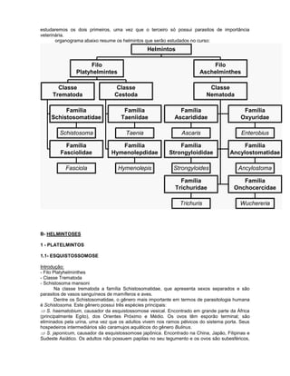 estudaremos os dois primeiros, uma vez que o terceiro só possui parasitos de importância 
veterinária. 
organograma abaixo resume os helmintos que serão estudados no curso: 
Schistosoma 
Família 
Schistosomatidae 
Fasciola 
Família 
Fasciolidae 
Classe 
Trematoda 
Taenia 
Família 
Taeniidae 
Hymenolepis 
Família 
Hymenolepdidae 
Classe 
Cestoda 
Filo 
Platyhelmintes 
Ascaris 
Família 
Ascarididae 
Enterobius 
Família 
Oxyuridae 
Strongyloides 
Família 
Strongyloididae 
Ancylostoma 
Família 
Ancylostomatidae 
Trichuris 
Família 
Trichuridae 
Wuchereria 
Família 
Onchocercidae 
Classe 
Nematoda 
Filo 
Aschelminthes 
Helmintos 
B- HELMINTOSES 
1 - PLATELMINTOS 
1.1- ESQUISTOSSOMOSE 
Introdução: 
- Filo Platyhelminthes 
- Classe Trematoda 
- Schistosoma mansoni 
Na classe trematoda a família Schistosomatidae, que apresenta sexos separados e são 
parasitos de vasos sanguíneos de mamíferos e aves. 
Dentre os Schistosomatidae, o gênero mais importante em termos de parasitologia humana 
é Schistosoma. Este gênero possui três espécies principais: 
S. haematobium, causador da esquistossomose vesical. Encontrado em grande parte da África 
(principalmente Egito), dos Orientes Próximo e Médio. Os ovos têm esporão terminal; são 
eliminados pela urina, uma vez que os adultos vivem nos ramos pélvicos do sistema porta. Seus 
hospedeiros intermediários são caramujos aquáticos do gênero Bulinus. 
S. japonicum, causador da esquistossomose japônica. Encontrado na China, Japão, Filipinas e 
Sudeste Asiático. Os adultos não possuem papilas no seu tegumento e os ovos são subesféricos, 
 