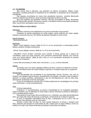 2.5 - FILARIOSES 
São vermes finos e delicados, que parasitam os sitemas circulatórios, linfático, tecido subcutâneo, cavidade peritoneal ou mesentério de um vertebrado, e necessitam de um hospedeiro invertebrado. 
Das espécies encontradas em nosso meio parasitando humanos, somente Manzonella ozzardi é originária das Américas, sendo as demais originadas da África e da Ásia. 
Das nove espécies que parasitam humanos, três são encontradas no Brasil: Wuchereria bancrofti, Manzonella ozzardi e Onchocerca volvulus. A Dirofilaria immitis é encontrada parasitando cães, mas já foram assinalados casos humanos. 
Filariose linfática ou bancroftiana 
Introdução: 
Também conhecida como elefantíase na sua forma sintomática mais evoluída. 
Parasitose de grande importância em saúde pública, sendo endêmica em várias regiões tropicais e possuindo cerca de 120 milhões de pessoas infectadas em todo mundo. 
Agente etiológico: 
- Wuchereria bancrofti 
Morfologia 
- Macho: Corpo delgado e branco. Mede de 3,5 a 4 cm de comprimento, a extremidade anterior afilada e posterior enrolada ventralmente. 
- Fêmea: Corpo delgado e branco. Mede de 7 a 10 cm de comprimento. 
- Microfilária: Forma também conhecida como embrião. A fêmea grávida faz a postura de microfilárias, sendo que estas possuem uma membrana extremamente delicada, que funciona como uma “bainha flexível”. Mede de 250 a 300 m e se movimentam ativamente na corrente sanguínea do hospedeiro. 
- Larvas: São encontradas no inseto vetor, nas formas L1, L2 e L3, a forma infectante. 
Hábitat 
Os adultos vivem nos vasos e gânglios linfáticos humanos, vivendo em média de 4 a 8 anos. 
As microfilárias saem dos ductos linfáticos e ganham a circulação sanguínea do organismo. 
Periodicidade 
Uma peculiaridade das microfilárias é sua periodicidade noturna. Durante o dia, elas se localizam nos capilares mais profundos, principalmente nos pulmões, e durante a noite começam a aparecer no sangue periférico, apresentando o pico da microfilariemia por volta da meia noite, decrescendo novamente no final da madrugada. 
O pico da microfilariemia coincide com o horário preferencial do hematofagismo do principal inseto transmissor, o Culex quinquefasciatus. 
Ciclo 
É do tipo heteroxênico. 
A fêmea do C. quinquefasciatus, ao exercer a hematofagia em um hospedeiro parasitado, ingere microfilária, que no estômago do inseto perde a bainha, atravessa a parede do estômago e cai na cavidade geral do inseto. 
Esta passa por duas mudas até se transformar na L3 infectante, que mede aproximadamente 2mm, que migra pelo inseto até alcançar a probóscida, concentrando-se no lábio do mosquito. 
O ciclo no hospedeiro intermediário leva 20 dias, a temperatura de 20 a 25oC, mas em temperaturas mais elevadas pode ser mais rápido. 
Quando o inseto vetor vai fazer um outro repasto sanguíneo, as larvas L3 escapam pelo lábio, penetram pela solução de continuidade da pele, migram para os vasos linfáticos, tornam-se adultos e em sete a oito meses as fêmeas já produzem as primeiras microfilárias. 
 