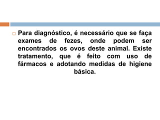 Para diagnóstico, é necessário que se faça
exames de fezes, onde podem ser
encontrados os ovos deste animal. Existe
tratamento, que é feito com uso de
fármacos e adotando medidas de higiene
básica.
 
