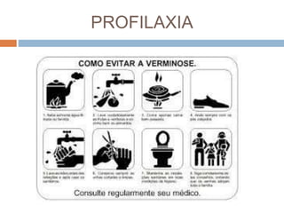 PROFILAXIA
 