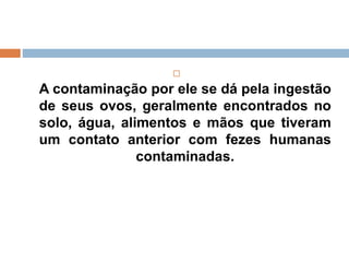 
A contaminação por ele se dá pela ingestão
de seus ovos, geralmente encontrados no
solo, água, alimentos e mãos que tiveram
um contato anterior com fezes humanas
contaminadas.
 